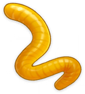 false_worm_bait